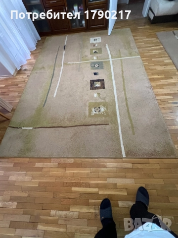 Килим тип персийски 250/330