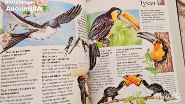 Детски енциклопедии, снимка 6 - Детски книжки - 51907558