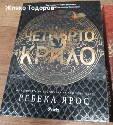 Ребека Ярос - Четвърто крило/ Железен пламък/Буря от оникс, снимка 4 - Художествена литература - 48833311