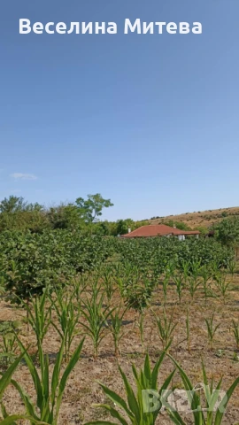 къща с градина, снимка 7 - Къщи - 51079570