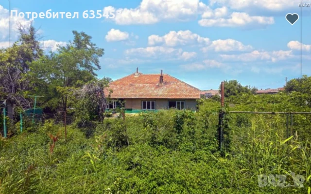 Продава 100 м2 къща с 1200 м2 двор в хубаво село, на 2 км от Дунав, снимка 3 - Къщи - 51062685