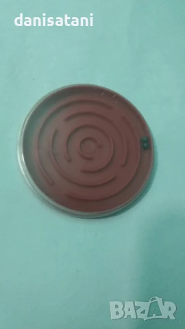 продавам кашонче с различни неща, снимка 6 - Антикварни и старинни предмети - 51187112