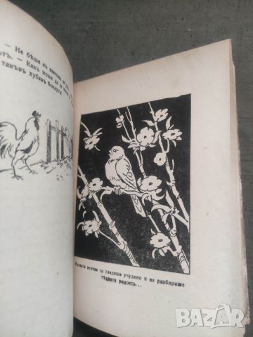 Продавам книга "Янка войвода .Богдан Овесян, снимка 2 - Художествена литература - 45751637