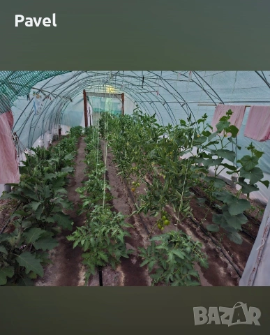 Оранжерия 4.60х10 метра, снимка 4 - Оранжерии - 53750993