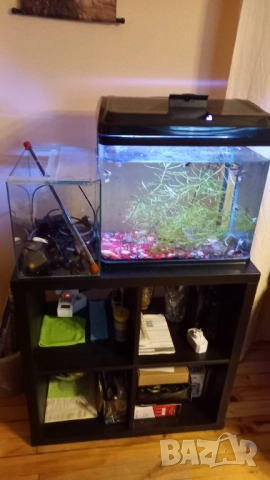 Продавам 2бр.аквариуми, снимка 7 - Аквариуми - 51190549