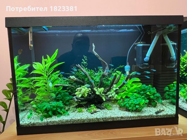 Работещ аквариум, снимка 7 - Аквариуми - 45810837