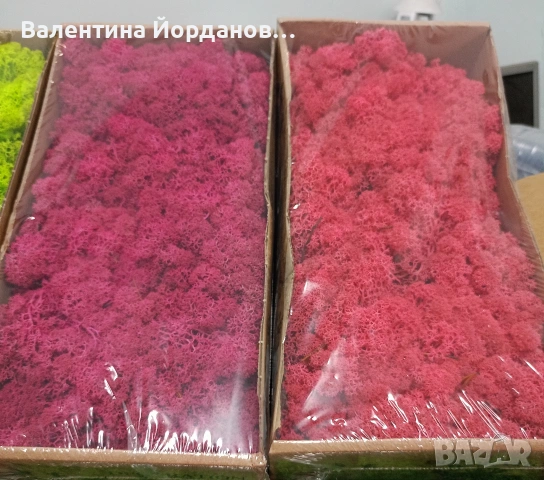 скандинавски мъх , снимка 2 - Декорация за дома - 53371740