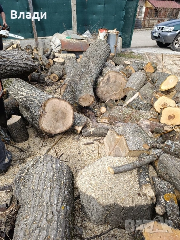 Орех-орехови трупи, снимка 9 - Дърводелски услуги - 53704493