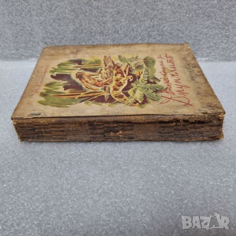 Стара Книга: "Втора книга за джунглата" от Ръдиард Киплинг, 1927 год., снимка 11 - Художествена литература - 46427063