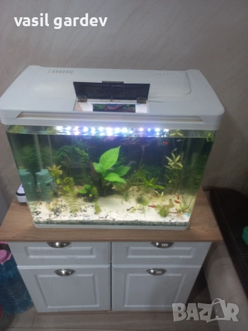 Аквариум aqarium 