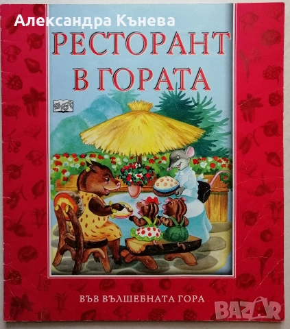 Във вълшебната гора , снимка 13 - Детски книжки - 50783458