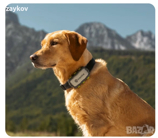 Умен тракер за кучета - изключително здрав + XL батерия, снимка 4 - Друга електроника - 53159760