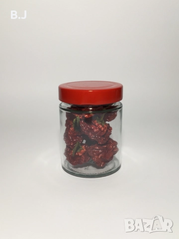 Люти сосове и сухи люти чушки Каролина Рийпър / Скоч Бонет, снимка 6 - Други ценни предмети - 52679576