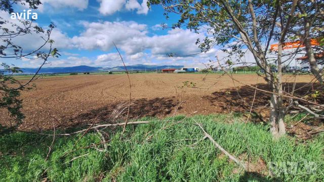 ПИ с възможност за смяна на предназначението в село Мусачево, снимка 7 - Парцели - 45388396