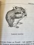 Домашно зайче; Морско свинче; Хамстер; Дегу - книга за хранене, грижи, поведение, болести и пр., снимка 11