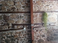 Фугиране на каменни стени,камък, снимка 3