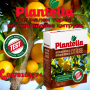 Тор Plantella специален за цитруси, гранулиран 1 кг., снимка 1 - Тор и почвени смеси - 44507796
