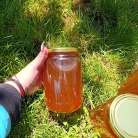 Пчелен мед - букет , снимка 2 - Пчелни продукти - 45717601