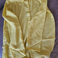 Копринени  блузи, снимка 1 - Блузи с дълъг ръкав и пуловери - 45031847