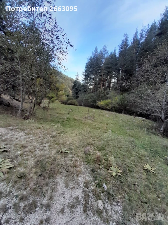 Парцел с. Добърско , снимка 1