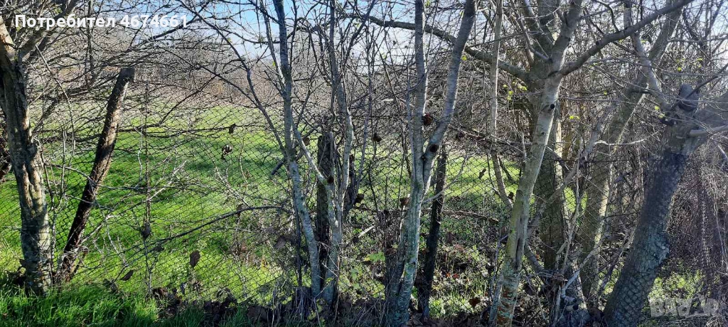 Продава ПАРЦЕЛ, с. Рудник, област Варна, снимка 1