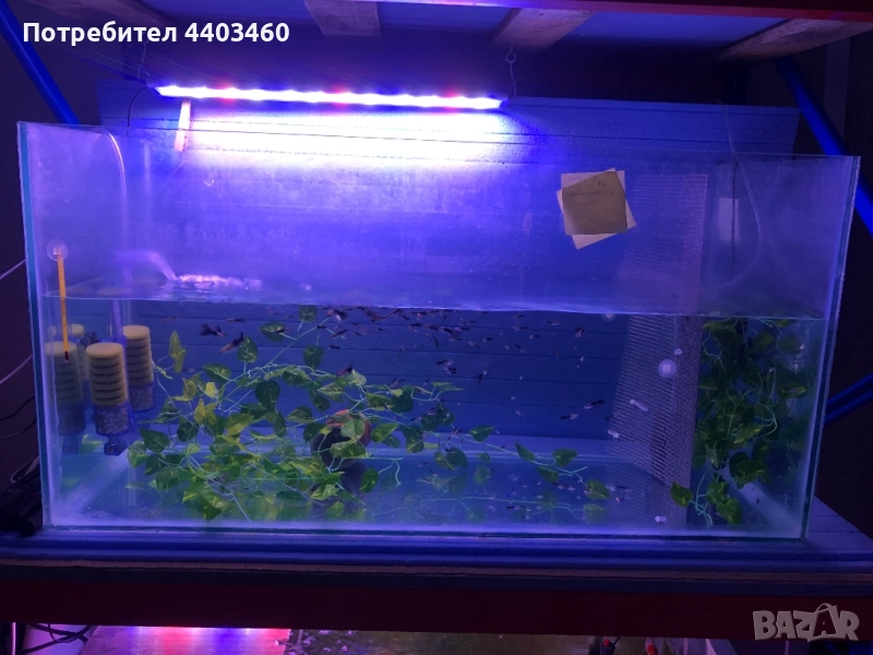 Аквариум 200л, снимка 1
