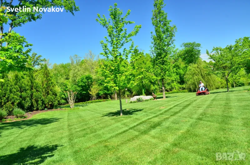 Косене на трева,рязане на дървета,храсти и плевели, снимка 1