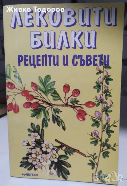 Лековити билки. Рецепти и съвети - Георги Иванов, снимка 1