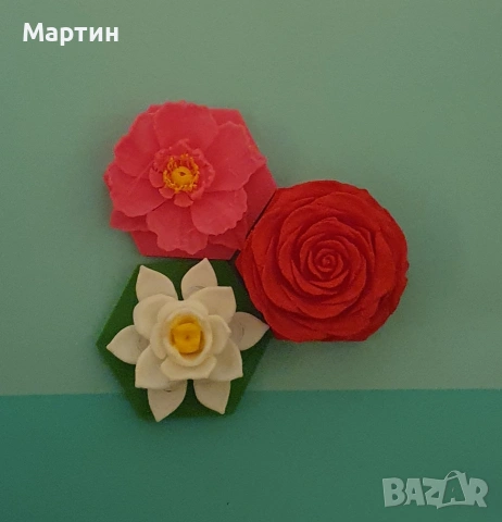 Продавам три броя растителни лабкойна 2025г