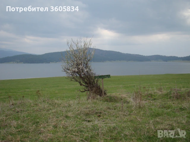 Парцел на брега на язовир Батак, снимка 4 - Парцели - 39525455
