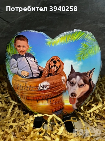 Снимка върху камък