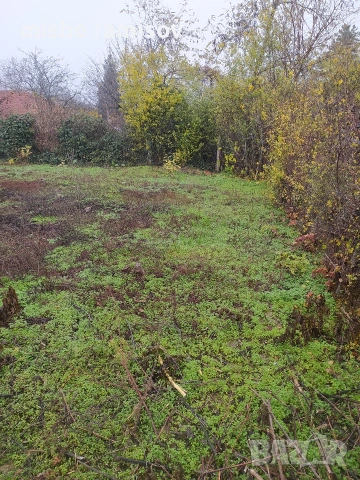 почистване на апартаменти , снимка 5 - Хамалски услуги - 53196389