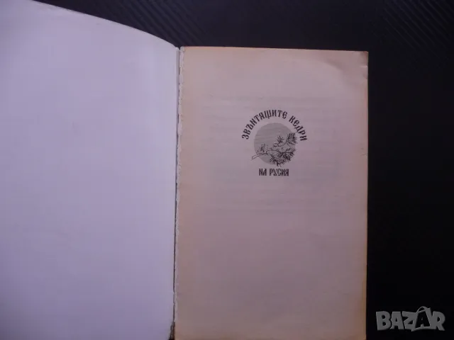 Анастасия Владимир Мегре книга 1 Звънтящите кедри на Русия, снимка 2 - Езотерика - 48205264