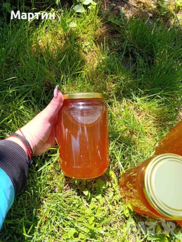 Пчелен мед , снимка 2 - Пчелни продукти - 45717547