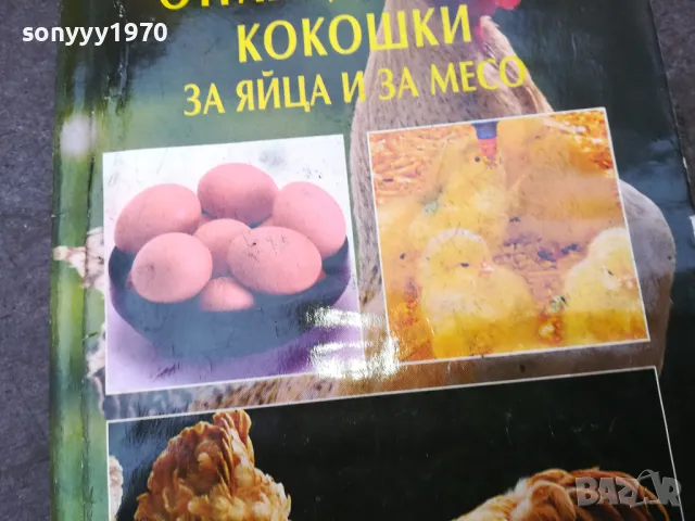 КОКОШКИ 1002250746, снимка 5 - Други - 49049884