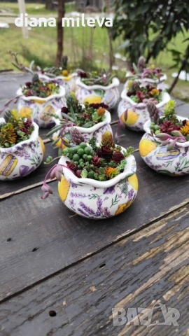 Гърнета аранжирани със сукуленти!, снимка 10 - Декорация за дома - 53206137