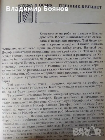 Библията, преразказана от Пърл Бък (за деца), снимка 8 - Детски книжки - 47020553