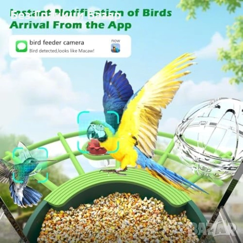 Нова Соларна камера хранилка за птици 4MP WiFi AI нощно виждане за дом, снимка 3 - Други стоки за дома - 51583964