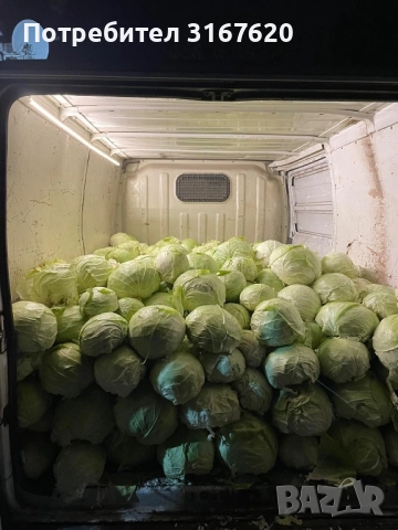 Зеле, снимка 2 - Други - 51702441