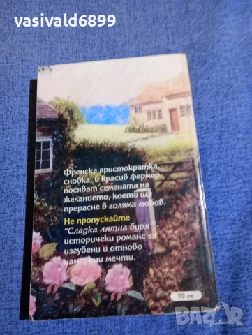 Еми Сандърс - Сладка лятна буря, снимка 3 - Художествена литература - 52938367