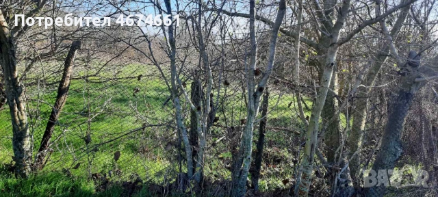 Продава ПАРЦЕЛ, с. Рудник, област Варна