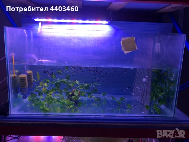 Аквариум 200л