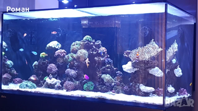 Аквариум Redsea Reefer 420 xl v1, снимка 2 - Аквариуми - 51072688
