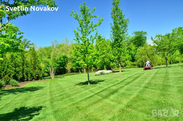 Косене на трева,рязане на дървета,храсти и плевели