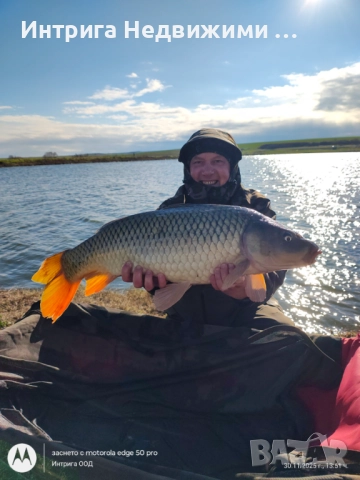 Shimano Tribal TX-7 13ft Intensity, 3.5 lb, снимка 3 - Въдици - 52815405