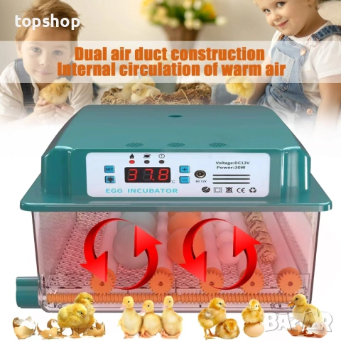 НОВ Auveach Автоматичен инкубатор за яйца Инкубатор за 16 кокоши яйца Автоматичен контрол..., снимка 3 - Други стоки за животни - 53186379