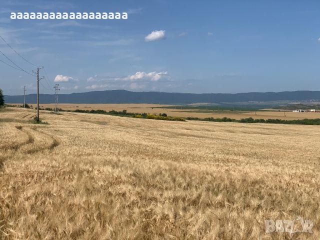 Продавам Панорамна земя до град Каблешково, снимка 7 - Земеделска земя - 44431160