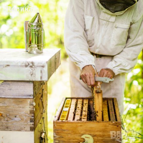 Домашен пчелен мед в тенекии  , снимка 5 - Пчелни продукти - 37057636