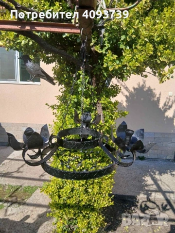 Полилей от ковано желязо