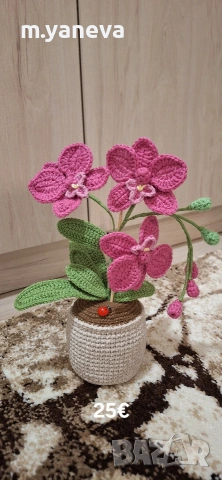 ръчно плетени орхидеи, снимка 2 - Декорация за дома - 53540155